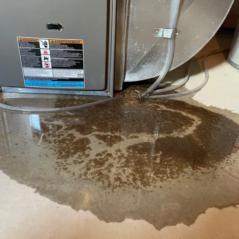 Appliance Leak Cleanup in Framingham, MA